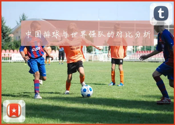 中国排球与世界强队的对比分析